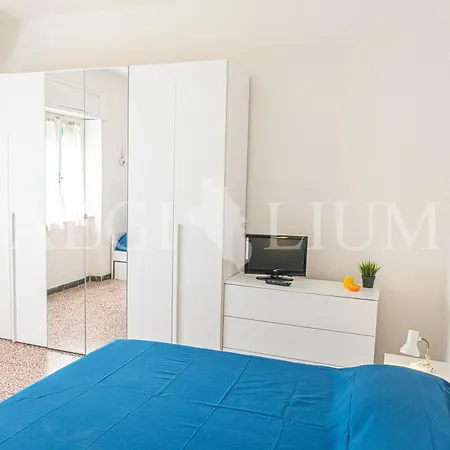 Ginestra * كامبيس