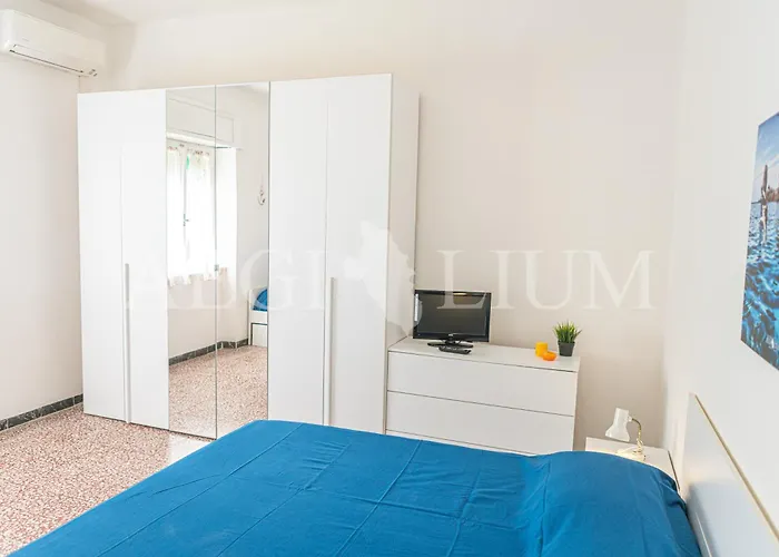 Ginestra * كامبيس